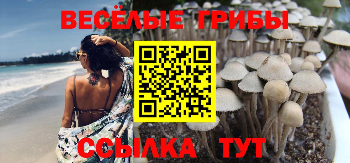 Галлюциногенные грибы Psilocybe  Галлюциногенные грибы Cubensis  цена   Вход с VPN  Котельники 